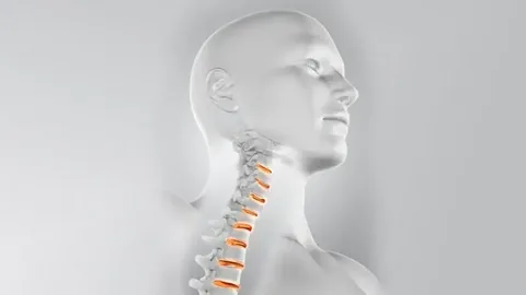 Moda İnşaat Boyun Düzleşmesi